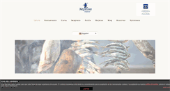 Desktop Screenshot of neptunomojacar.com